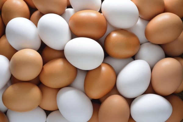"المستهلك" تدعو الى مقاطعة شراء بيض المائدة Image