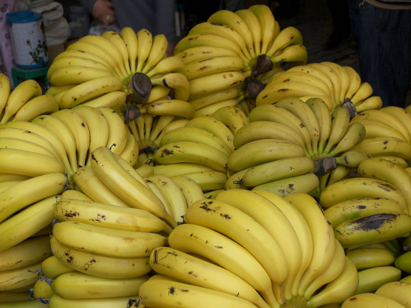 هل فعلاً يؤدي الموز الى البدانة؟ Image