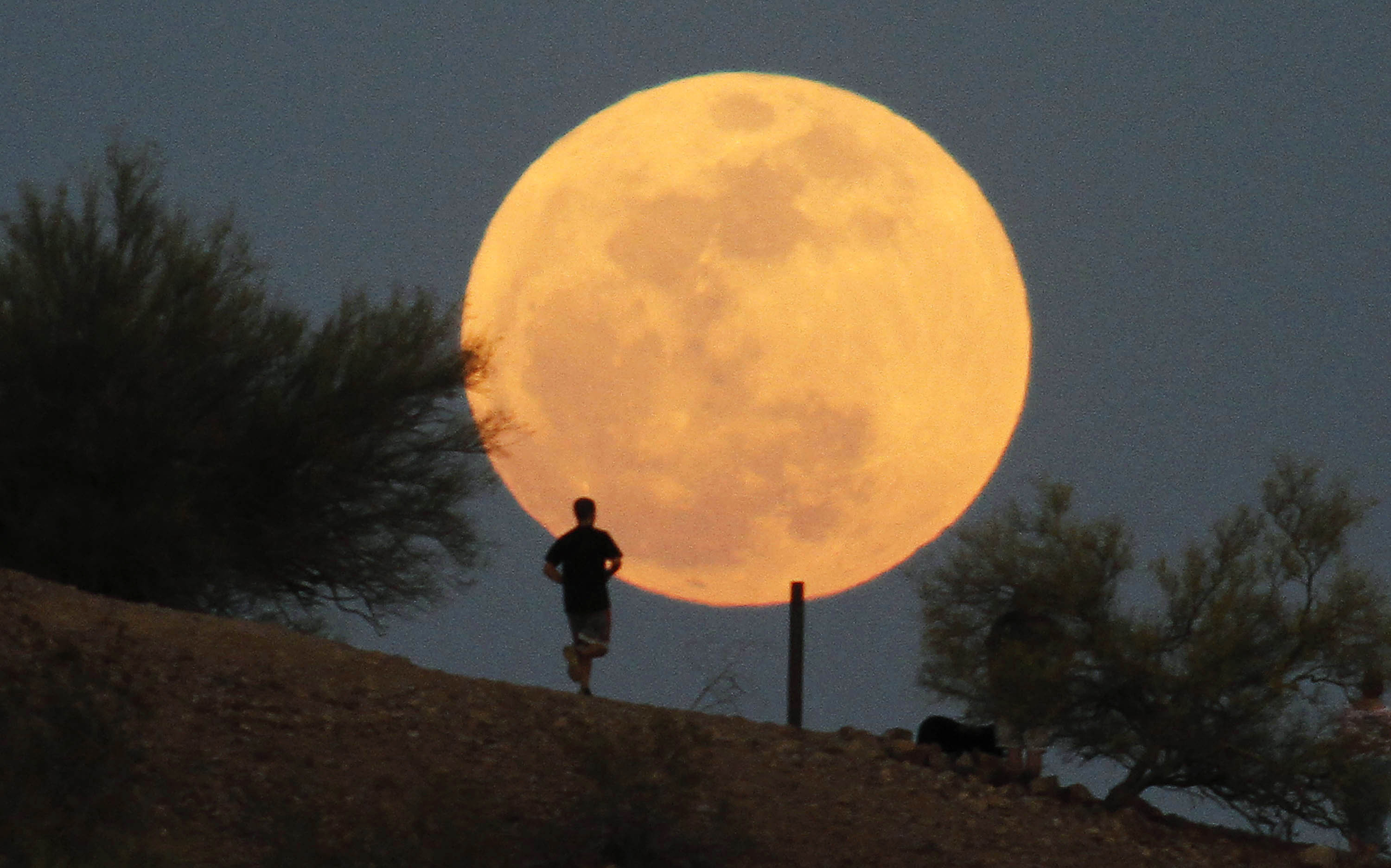 القمر العملاق في سماء المملكة غدا Image