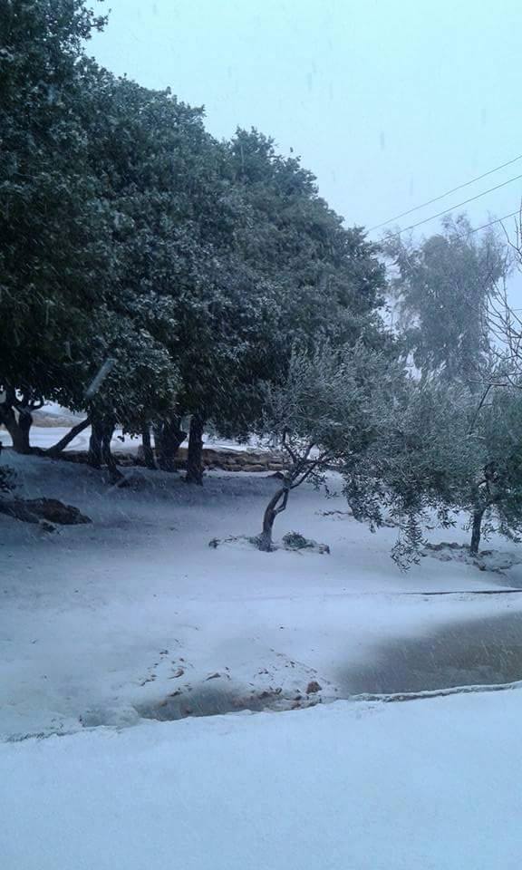 صور الثلوج على بعض مناطق المملكة Image