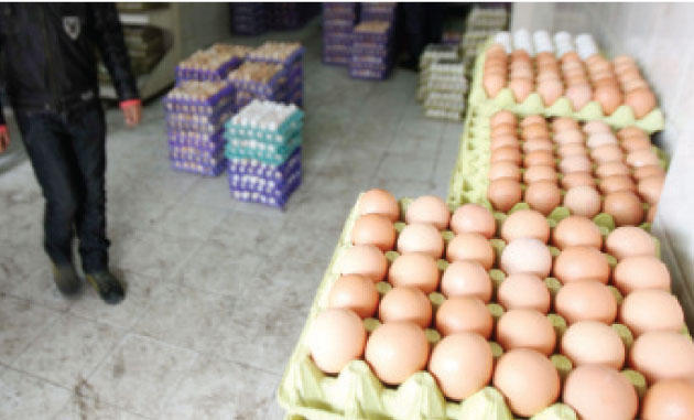 أسعار بيض المائدة تنخفض 21 % Image