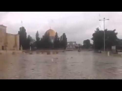 أمطار غير مسبوقة على باحات المسجد الأقصى Image