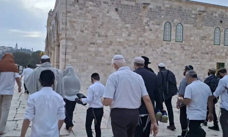 316 مستوطنا إسرائيليا يقتحمون المسجد الأقصى
