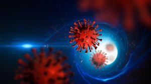 فيروس قاتل جديد قد يسبب جائحة جديدة