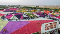 مهرجان ينبع للزهور يحقق إنجازات في غينيس