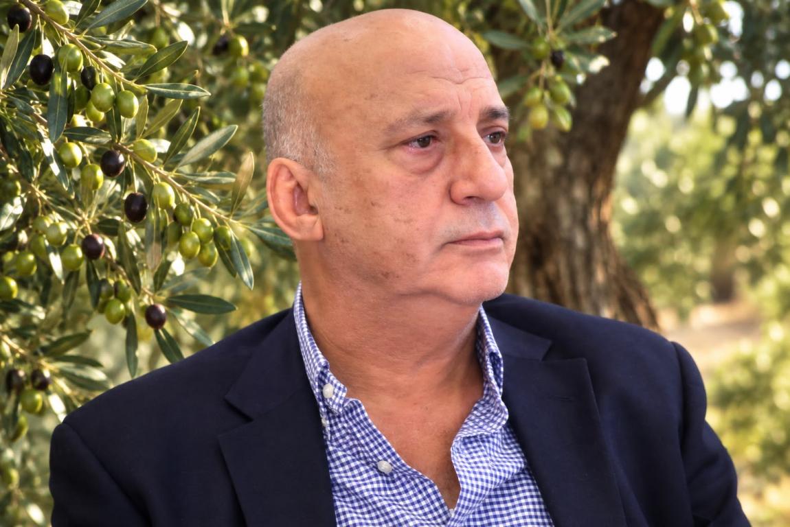 النجداوي يدعو لتأخير قطاف الزيتون أسبوعين
