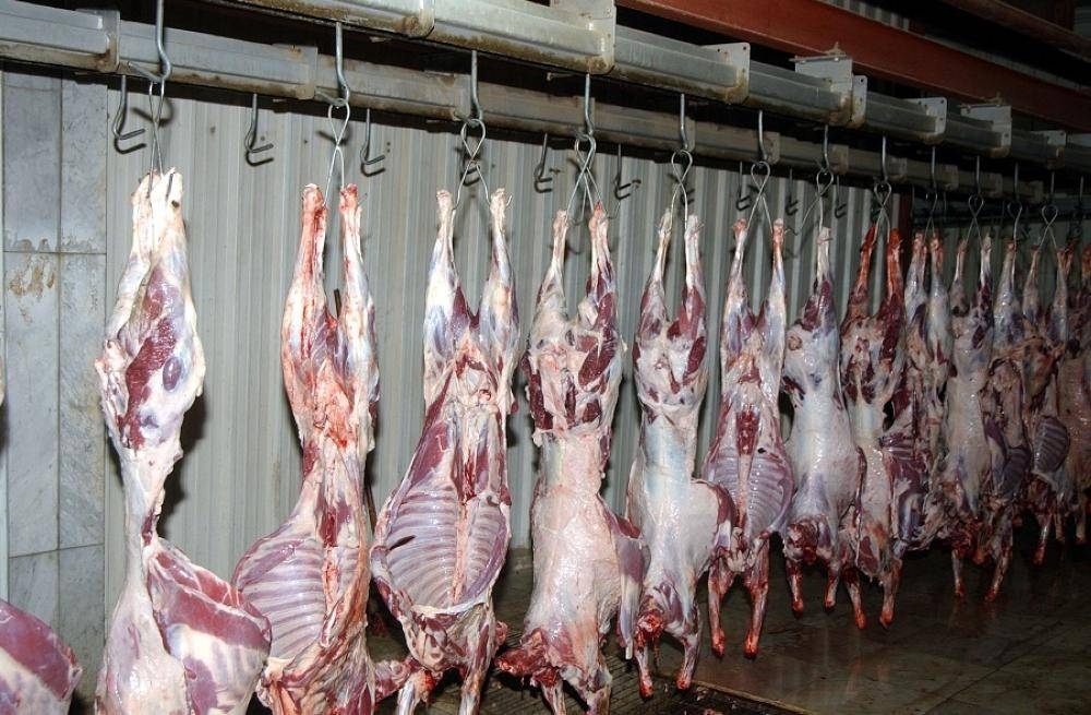 قصابون: ٦٠٪ انخفاض الطلب على اللحوم