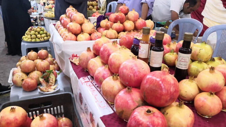 إقامة مهرجان الرمان والمنتجات الريفية في إربد يوم الخميس