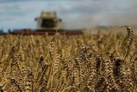 الحكومة تطرح عطاءين لشراء 440 ألف طن من مادتي القمح والشعير