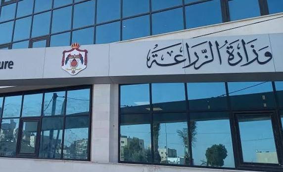 وزير الزراعة يتفقد المزارع المتضررة من الأحوال الجوية الأخيرة