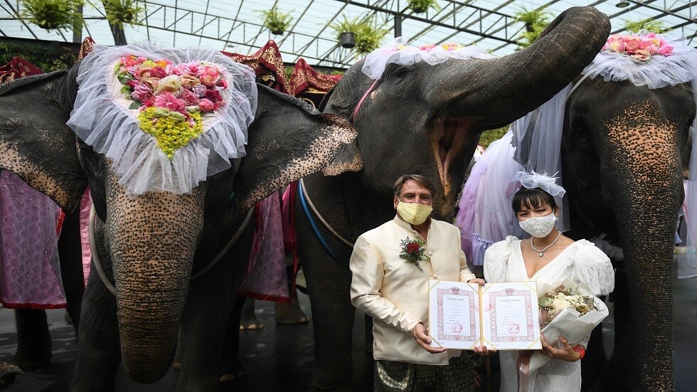 زفاف جماعي على ظهور الفيلة في عيد الحب Image