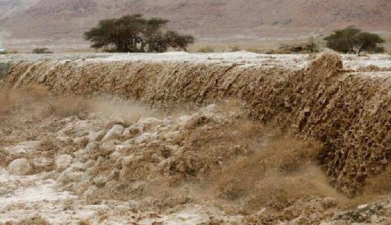 “الزراعة” تدعو المزارعين المتضررين من الأحوال الجوية لمراجعة المديريات 