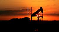 انخفاض أسعار النفط عالميا بعد ارتفاع المخزون الأمريكي