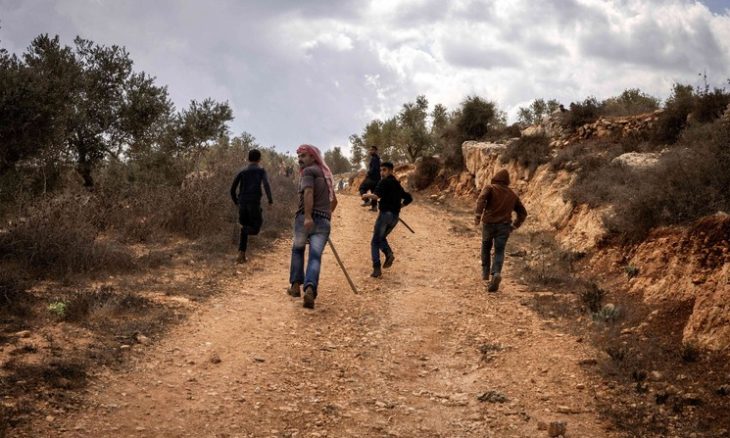 استشهاد فلسطيني وإصابة 12 باعتداءات إسرائيلية على قاطفي الزيتون في الضفة
