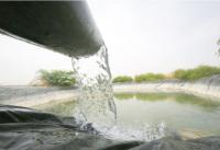 "فاو": الأردن اتخذ اجراءات لتخفيف استعمال المياه في الزراعة