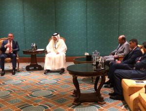 زيادين يلتقي رئيس مجلس الشورى القطري