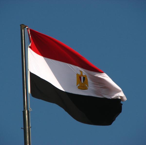 مصر تدعم دعوى جنوب أفريقيا أمام محكمة العدل الدولية