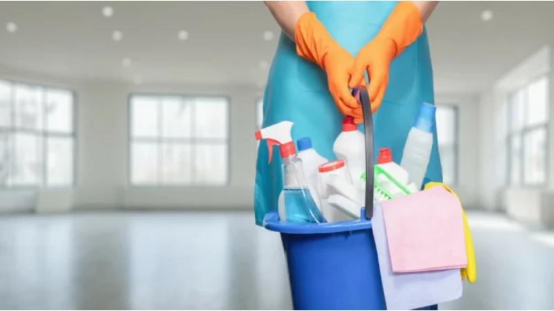 خياران من "العمل" بشأن عاملات المنازل المخالفات