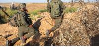 اصابة عدد من جنود الاحتلال بعش دبابير جنوب قطاع غزة 