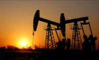 إنخفاض أسعار النفط عالميا 