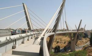 الغرامة 30 دينارا لشخص حاول الانتحار من جسر عبدون
