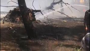 حريق بمنتزه عمان القومي - فيديو