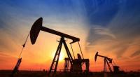 النفط يواصل خسائره عالميًا