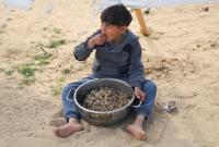 استشهاد 8 أطفال بسبب الجوع بشمال غزة