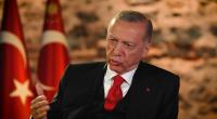 أردوغان والخريف العربي 