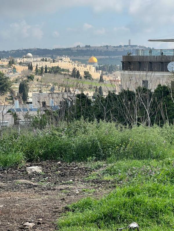 بطريركية الروم الأرثودكس تستعيد أراضي في القدس Image