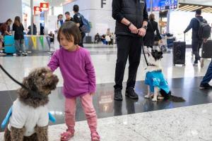 5 كلاب في مطار إسطنبول للترويح عن المسافرين
